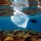 Worldwide update on plastic