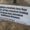 Do Chemicals in Plastics cause Autism?