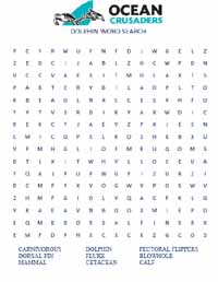 Dolphins wordsearch