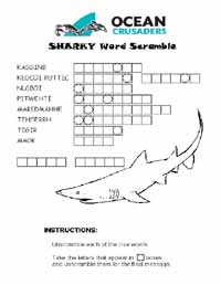 Shark Scramble