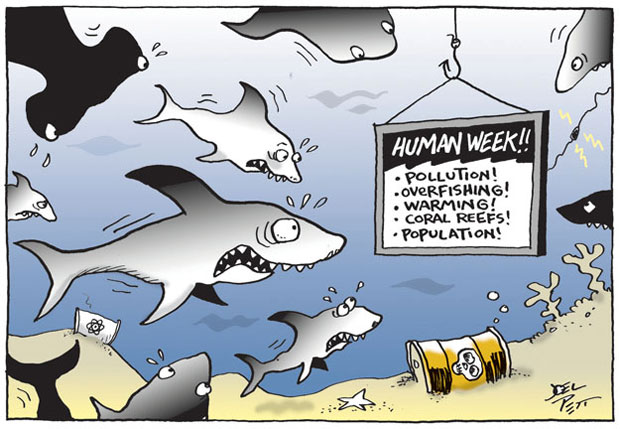 shark-week