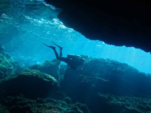 Diving-Ustica