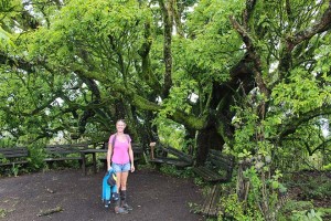 Annika and green tree660